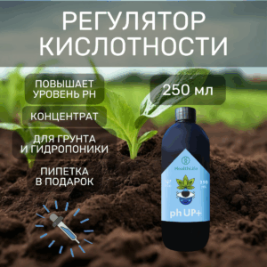 Регулятор кислотности pH UP + 250 ml